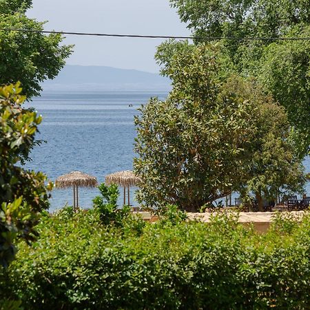 Villa Kalifteri Beach House à Áfissos Extérieur photo