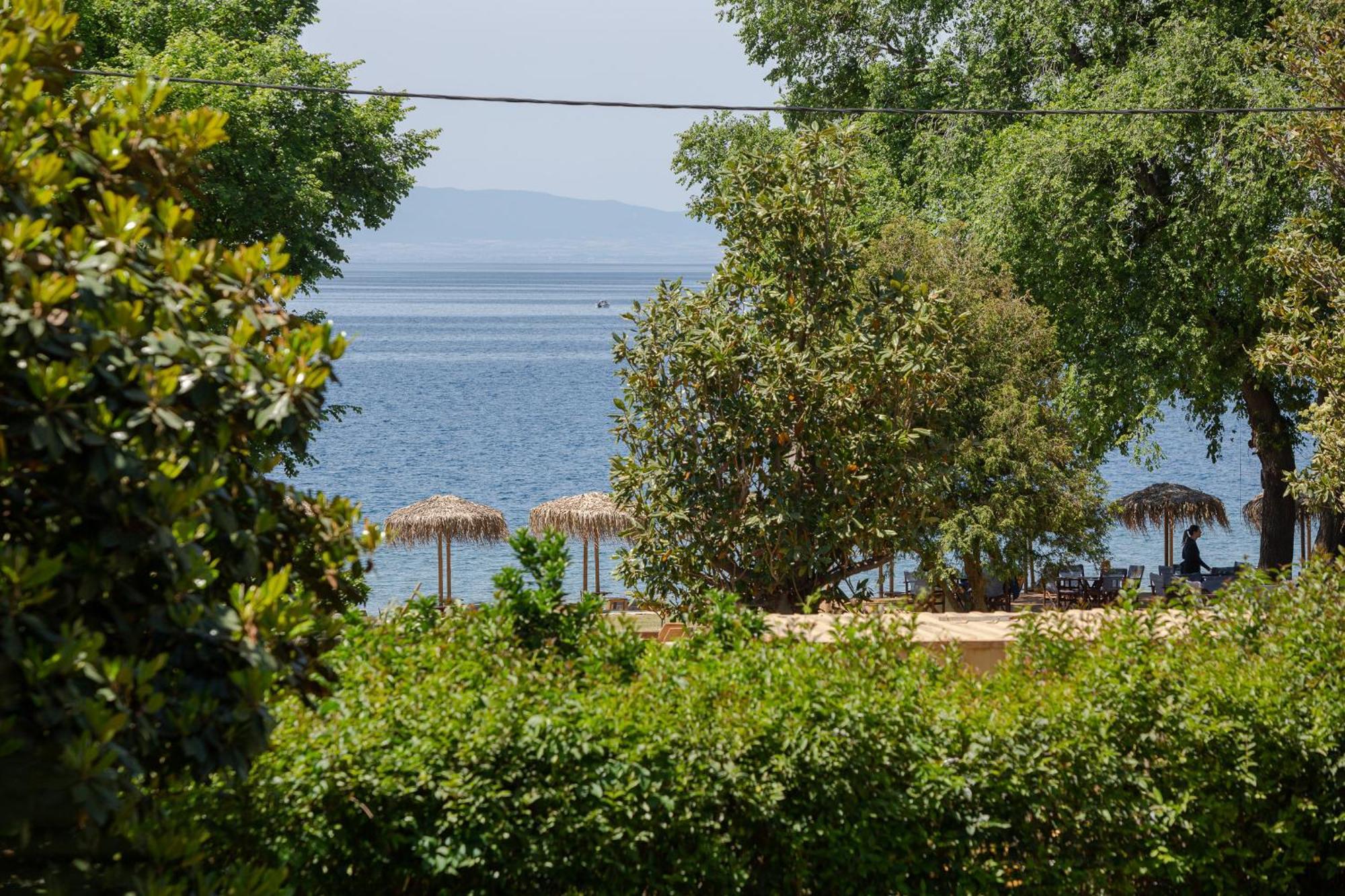 Villa Kalifteri Beach House à Áfissos Extérieur photo