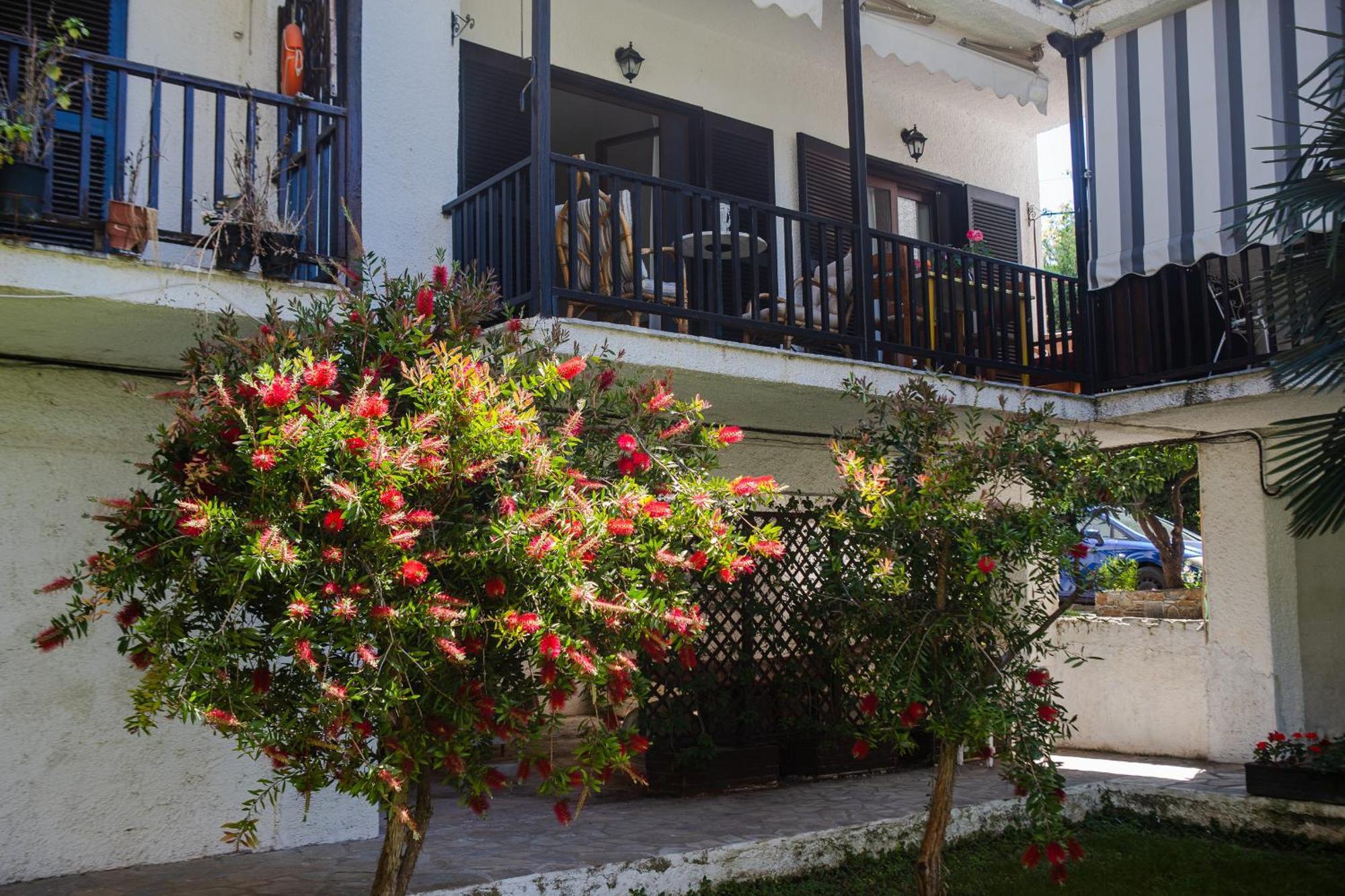 Villa Kalifteri Beach House à Áfissos Extérieur photo